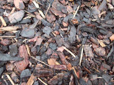 ahşap cilt parçaları doku detay 