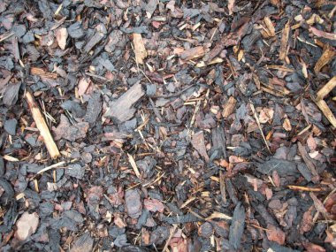 ahşap cilt parçaları doku detay 