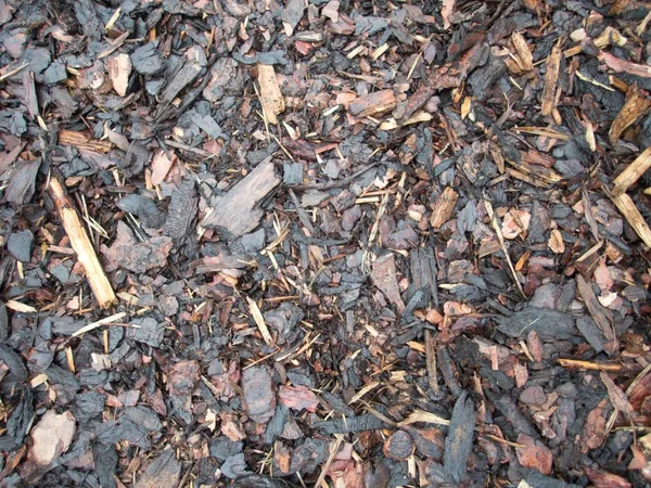 ahşap cilt parçaları doku detay 