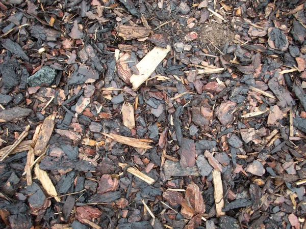 ahşap cilt parçaları doku detay 