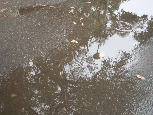 Reflectie Een Water Straat Regen — Stockfoto