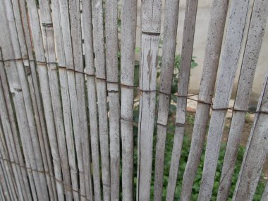 reed çit bir doku detay