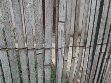 reed çit bir doku detay