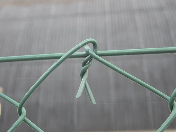 Detalhe Fechado Uma Cerca Arame Verde — Fotografia de Stock