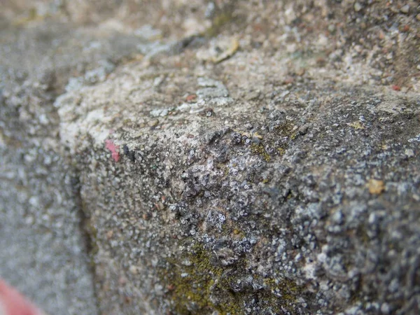 Close Detail Texture Old Concrete Brick Wall — Stock Photo, Image