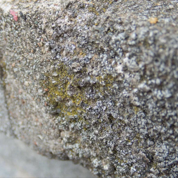 Detail Einer Textur Einer Alten Ziegelsteinmauer — Stockfoto