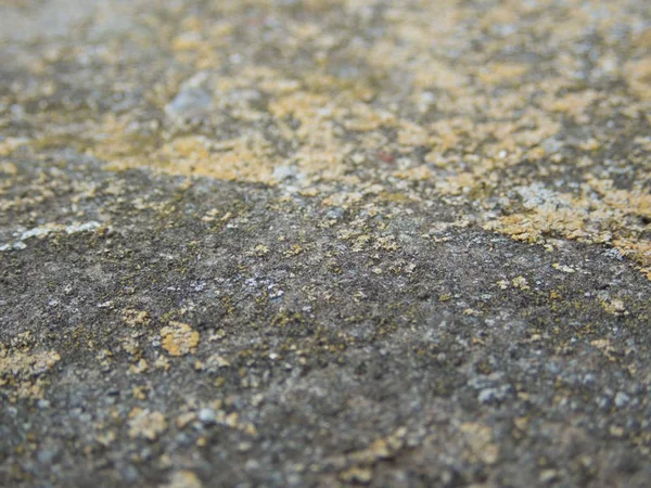 Close Detail Texture Old Concrete Brick Wall — Stock Photo, Image