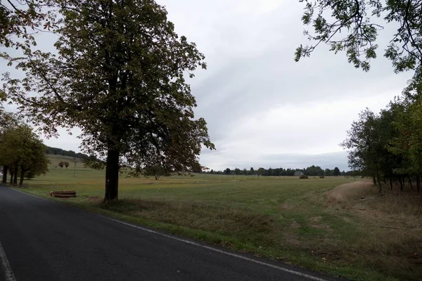 Ein Herbstbaum Einer Tschechischen Landschaft — Stockfoto