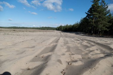 Woods tarafından çevrili Güney Polonya Pustynia Bledowska Kum Çölü