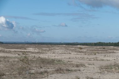 Woods tarafından çevrili Güney Polonya Pustynia Bledowska Kum Çölü