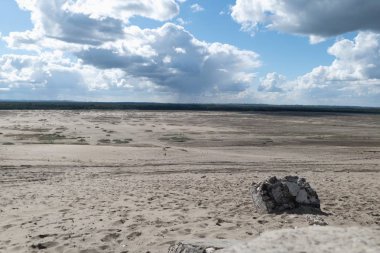 Woods tarafından çevrili Güney Polonya Pustynia Bledowska Kum Çölü