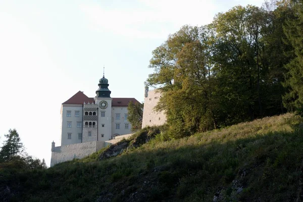 Hermoso Castillo Skala Piskova Valle Ojcow Sur Polonia — Foto de Stock