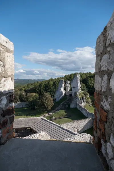 Belo Incrível Castelo Medieval Histórico Ogrodzieniec Sul Polônia — Fotografia de Stock