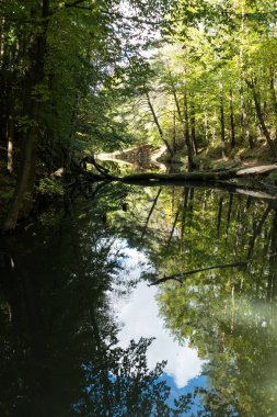 sonbahar sezonu Orta Avrupa'da güzel doğa