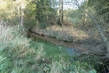 sonbahar sezonu Orta Avrupa'da güzel doğa