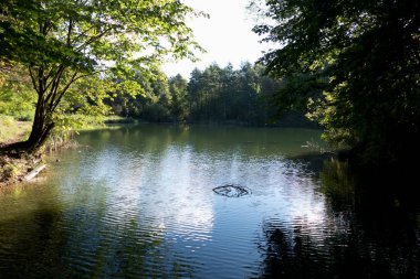 sonbahar sezonu Orta Avrupa'da güzel doğa