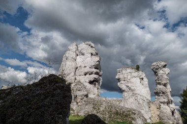bir kireçtaşı rock kule Polonya doğal park