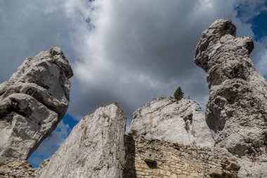 bir kireçtaşı rock kule Polonya doğal park