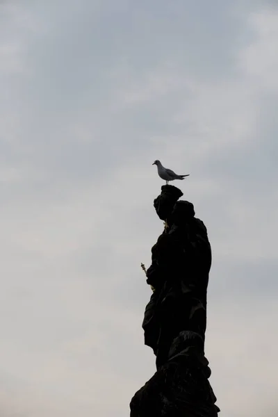 Duva Chef För Historisk Staty Prag — Stockfoto