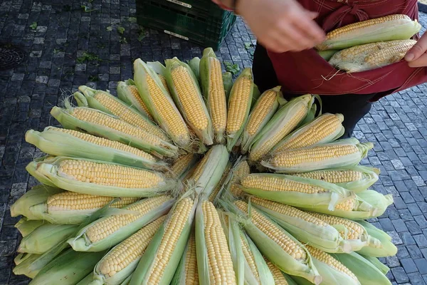 Pile Ripe Corn Market — Stock Photo, Image