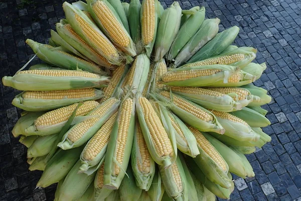 Pile Ripe Corn Market — Stock Photo, Image