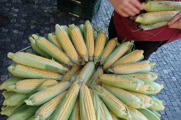 Pile Ripe Corn Market — Stock Photo, Image