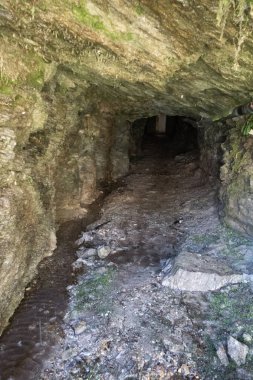 su damlaları ile ıslak bir kayada bir yosun ile mağara