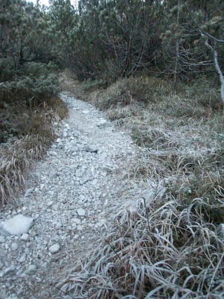 Zugspitze tırmanma güzel soğuk sabah manzara
