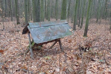 orman hayvan besleme yuvasına bir ahşap