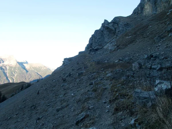 Hermoso frío paisaje de la mañana escalada zugspitze —  Fotos de Stock