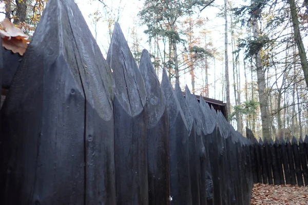 Cerca de madera afilada marrón oscuro — Foto de Stock