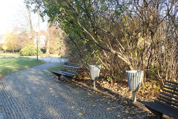 Żywe Piękna Jesień Kolorowy Park — Zdjęcie stockowe