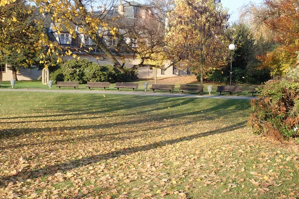 Egy Élénk Szép Őszi Színes Parkban — Stock Fotó