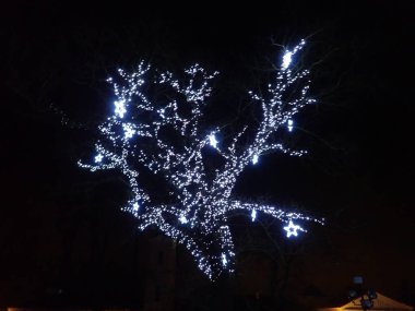 bir ışıklı park befora Sunni Noel bir soğuk kış geceleri