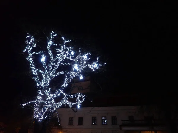 Chilly Winter Night Illuminated Park Befora Christmass — Stock Photo, Image