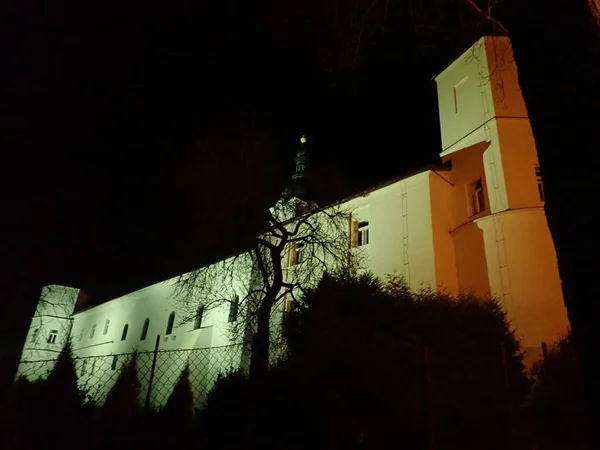 Een Koude Winternacht Een Verlichte Park Befora Kerst — Stockfoto