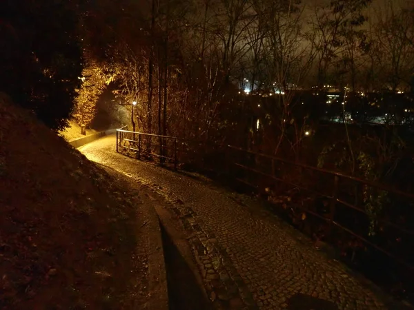 Une Nuit Hiver Fraîche Dans Parc Illuminé Befora Christmass — Photo