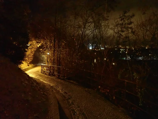 Bir Işıklı Park Befora Sunni Noel Bir Soğuk Kış Geceleri — Stok fotoğraf