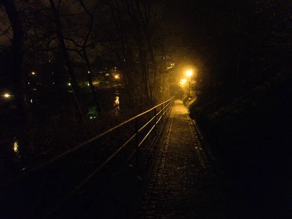 Une Nuit Hiver Fraîche Dans Parc Illuminé Befora Christmass — Photo