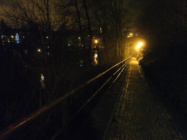 Een Koude Winternacht Een Verlichte Park Befora Kerst — Stockfoto