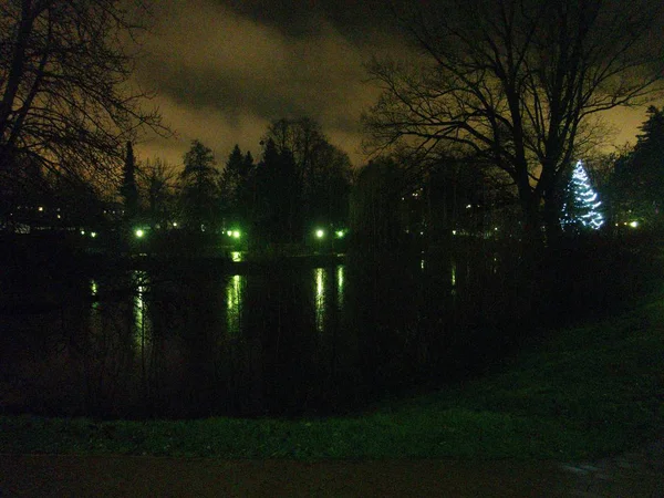 Egy Hideg Téli Éjszakán Egy Megvilágított Park Befora Karácsonyi — Stock Fotó