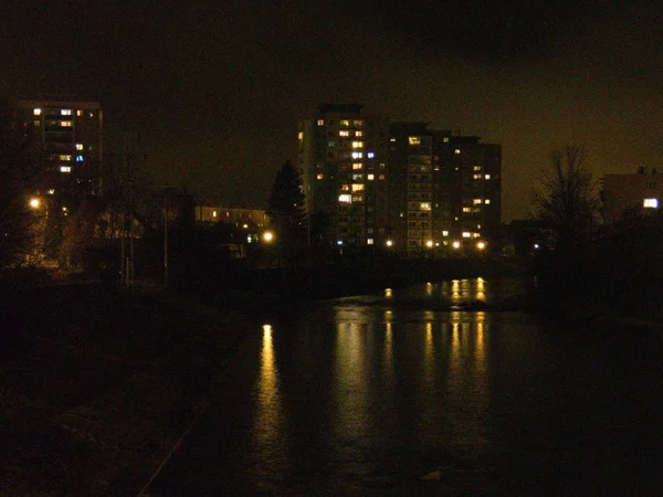 Une Nuit Hiver Fraîche Dans Parc Illuminé Befora Christmass — Photo