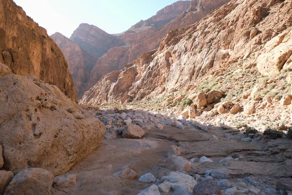 Magnifique Paysage Désertique Gorge Todra Haut Atlas Maroc Une Destination — Photo