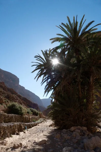 Magnifique Paysage Désertique Gorge Todra Haut Atlas Maroc Une Destination — Photo