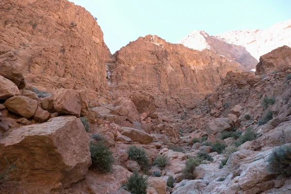 Bellissimo Paesaggio Desertico Gola Todra Alto Atlante Marocco Una Famosa — Foto Stock