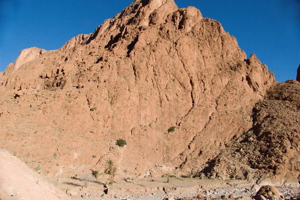 Bellissimo Paesaggio Desertico Gola Todra Alto Atlante Marocco Una Famosa — Foto Stock