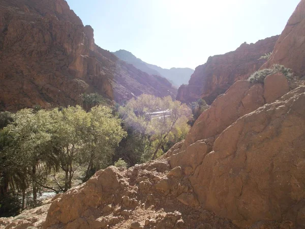 Magnifique Paysage Désertique Gorge Todra Haut Atlas Maroc Une Destination — Photo