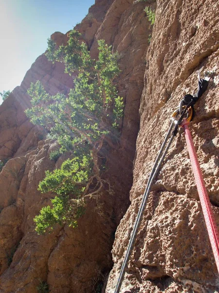 Bela Paisagem Desértica Todra Gorge Atlas Alto Morocco Destino Escalada — Fotografia de Stock