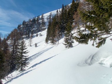 güzel kış peyzaj macera skitouring Alpleri'nde