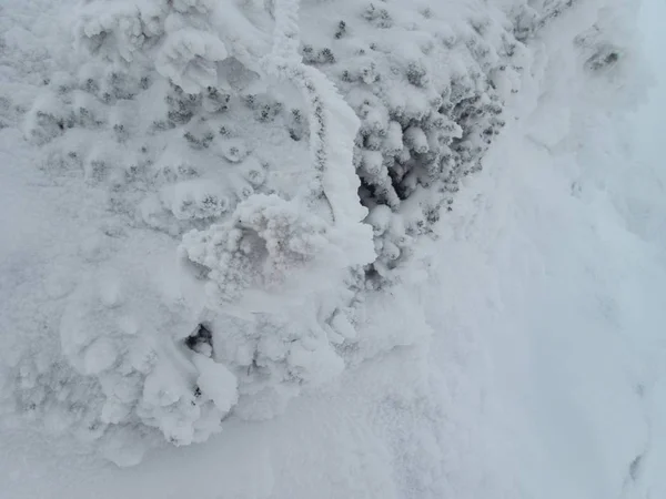 Vackra Vinter Lanscape Äventyr Skitouring Alperna — Stockfoto